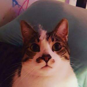 Meet your Posher, Emma